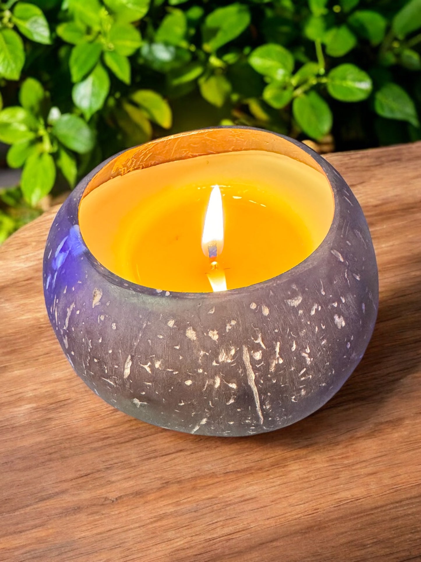 Coconut Bowl Candle