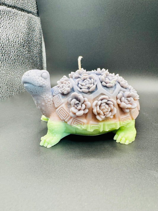Flower Coco Soy Turtle